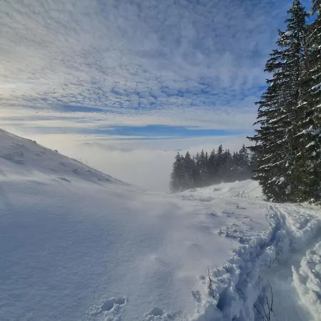 Les Lucioles Saint-Jean-de-Sixt