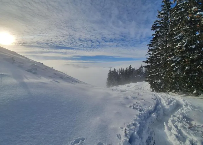 Les Lucioles Saint-Jean-de-Sixt